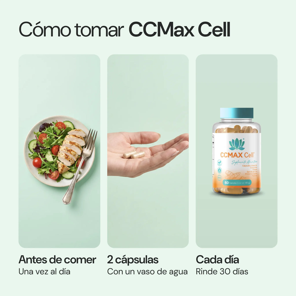 Cómo usar CCMax Cell