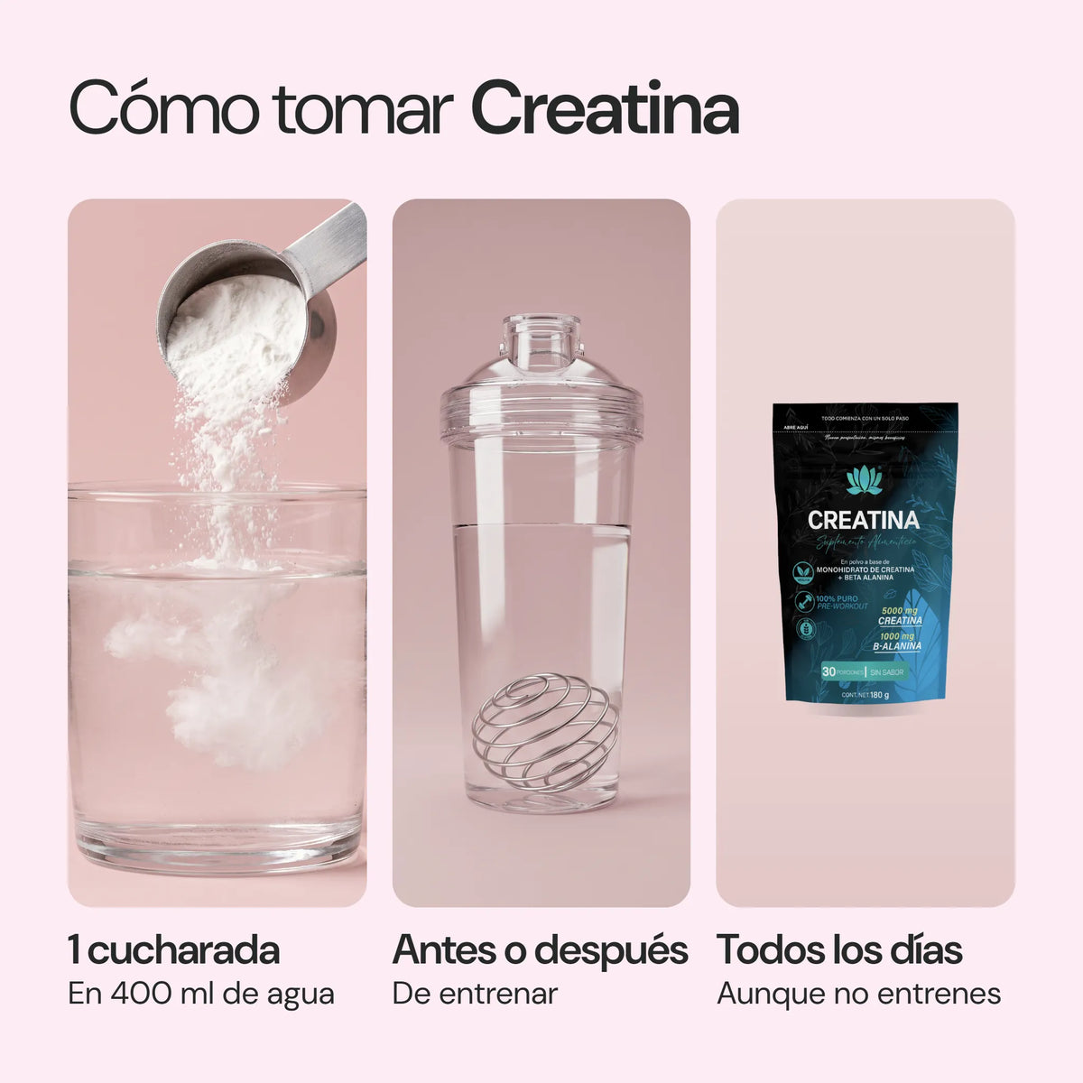 Cómo usar Creatina
