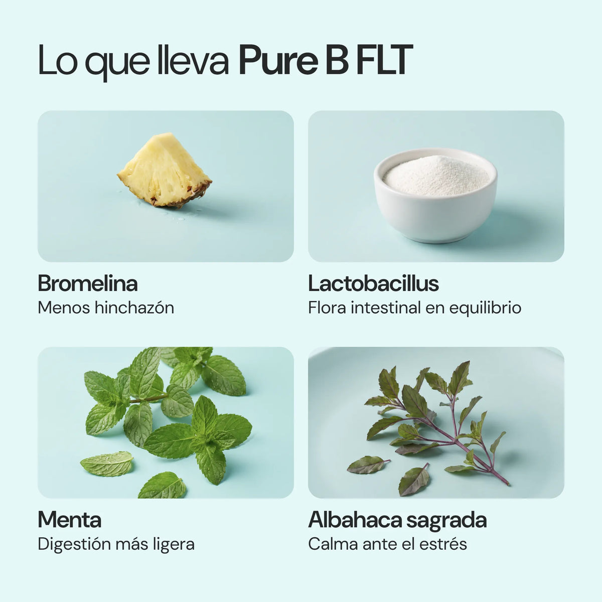 Ingredientes de Pure B FLT