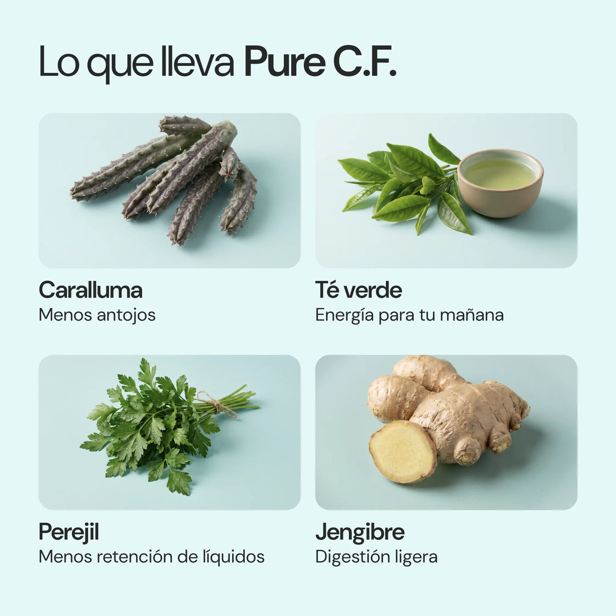 Ingredientes de Pure C.F.
