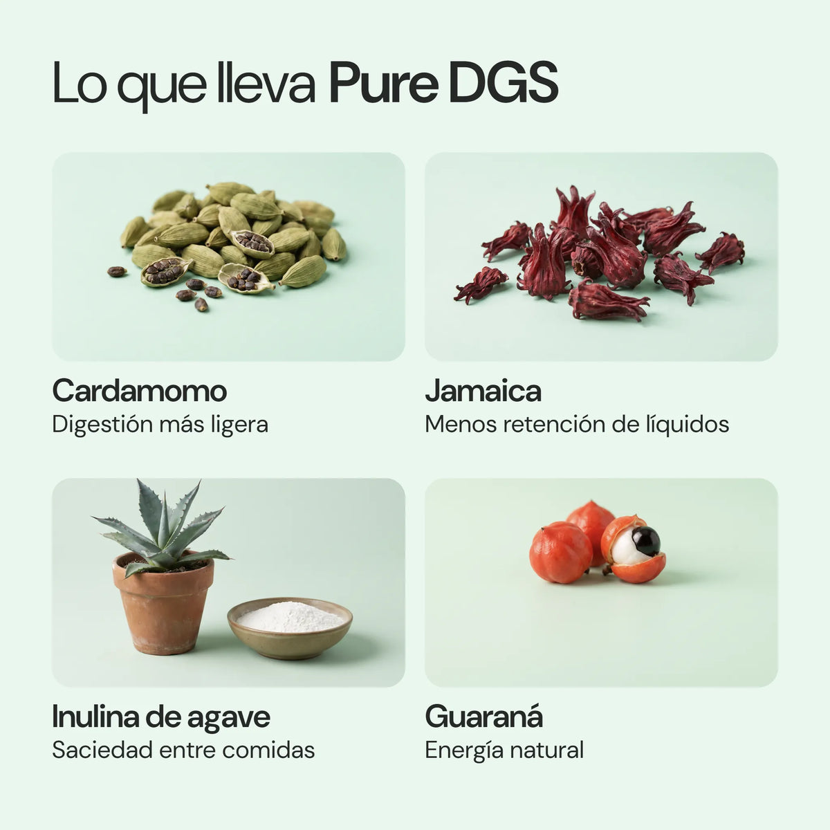 Ingredientes de Pure DGS