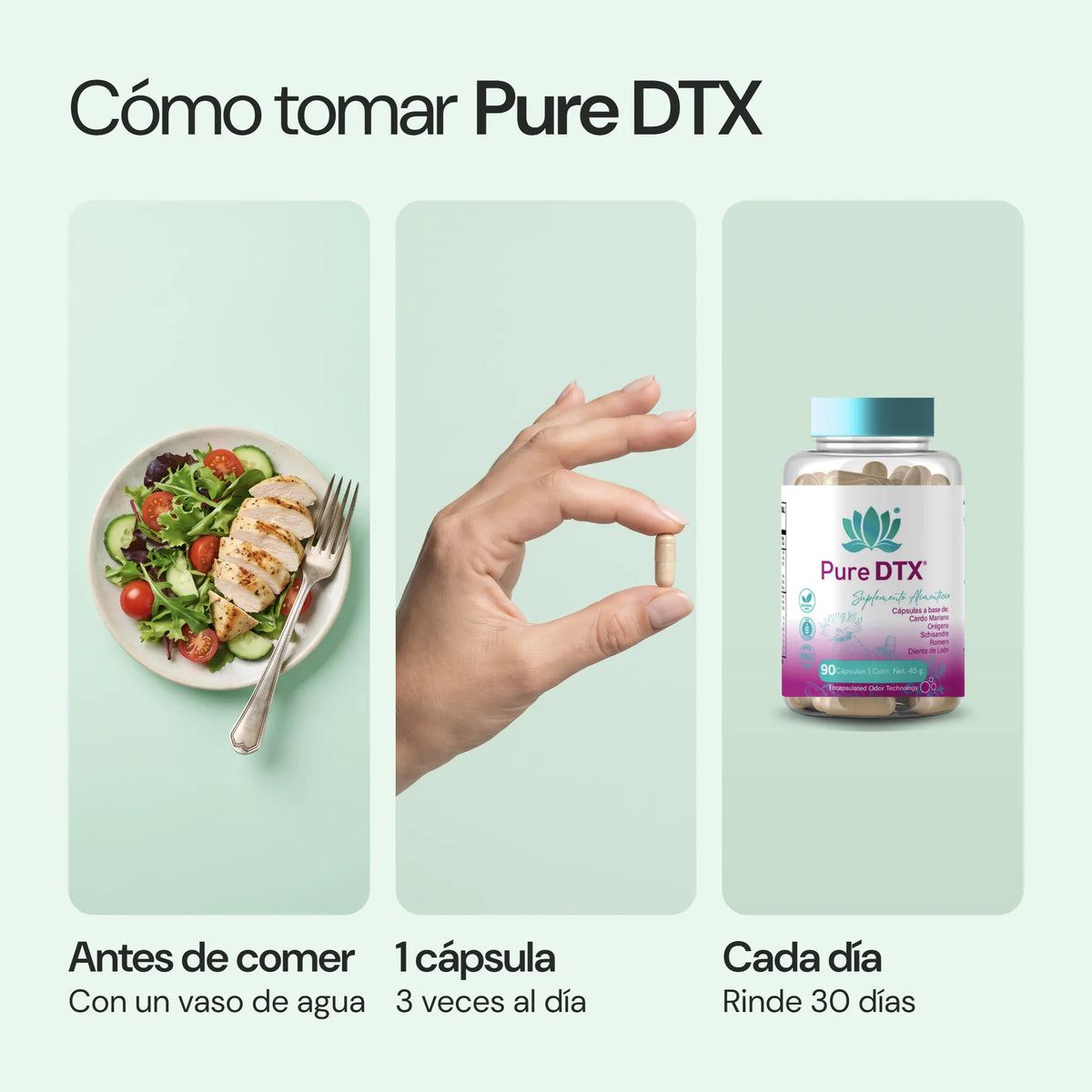 Cómo usar Pure DTX