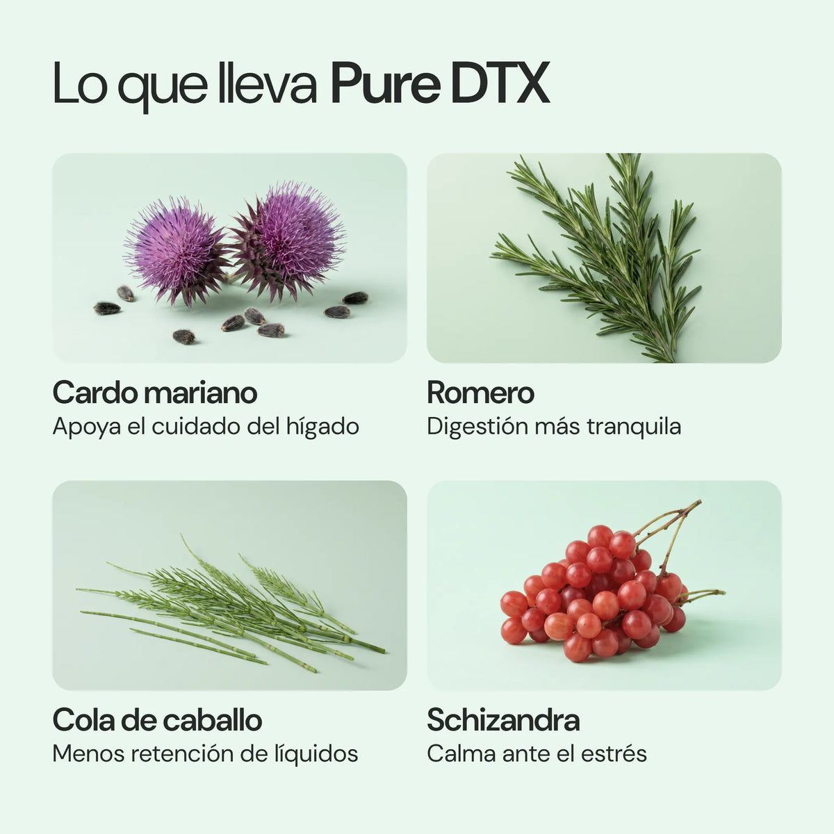 Ingredientes de Pure DTX