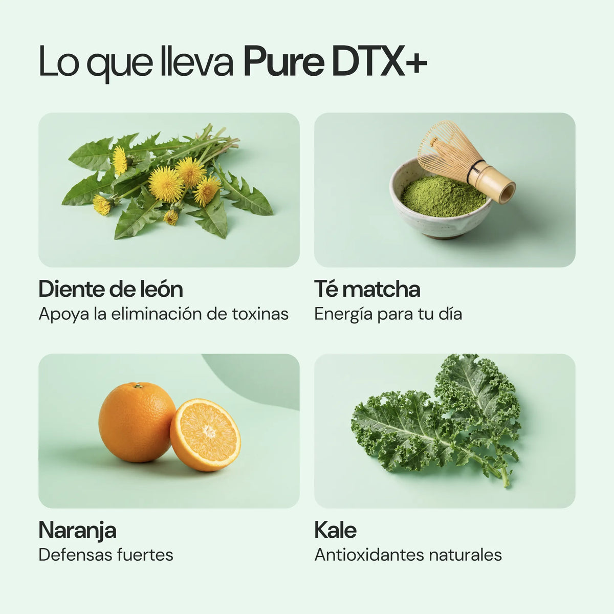 Ingredientes de Pure DTX+