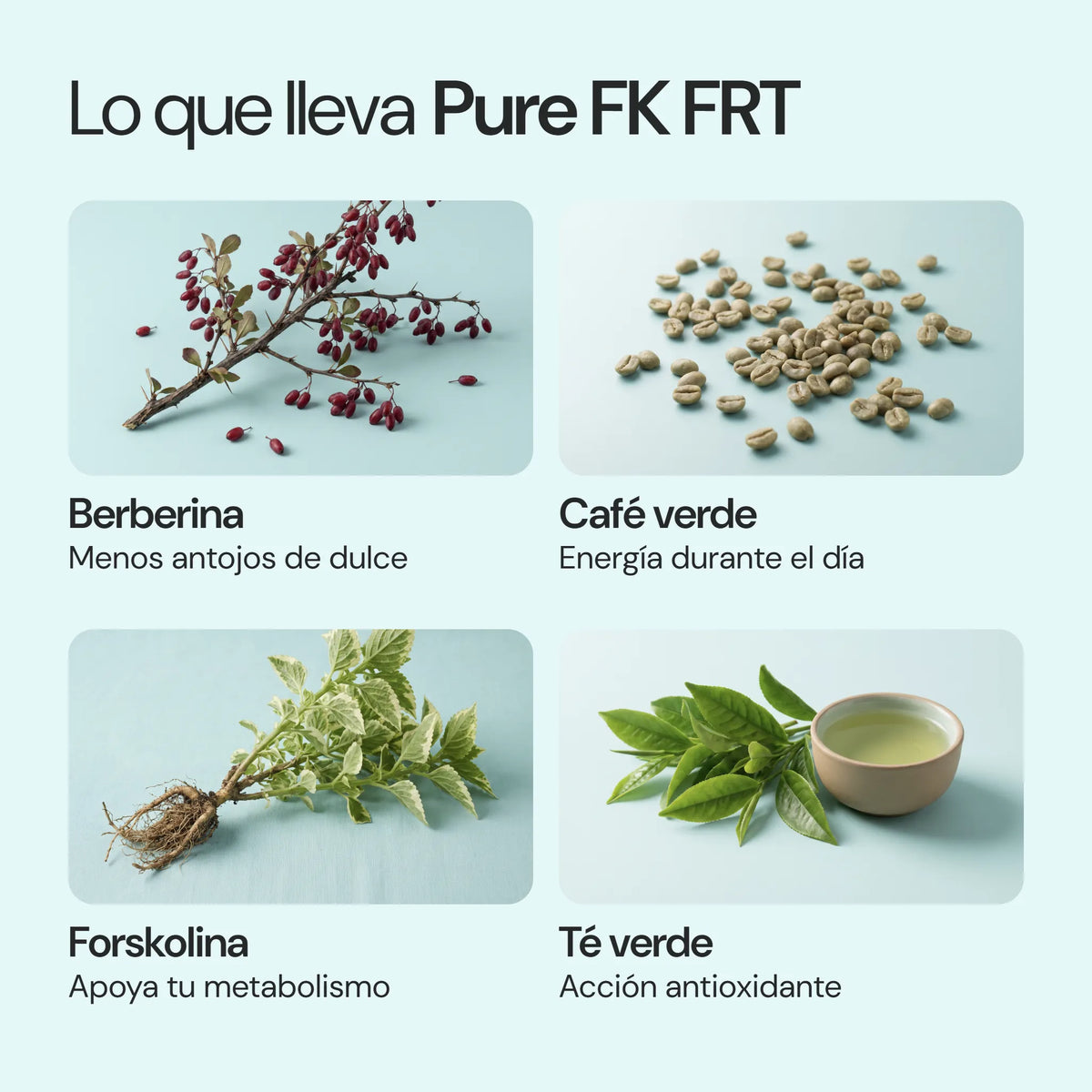Ingredientes de Pure FK FRT