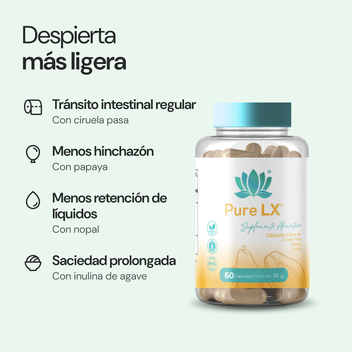 Pure LX: beneficios principales