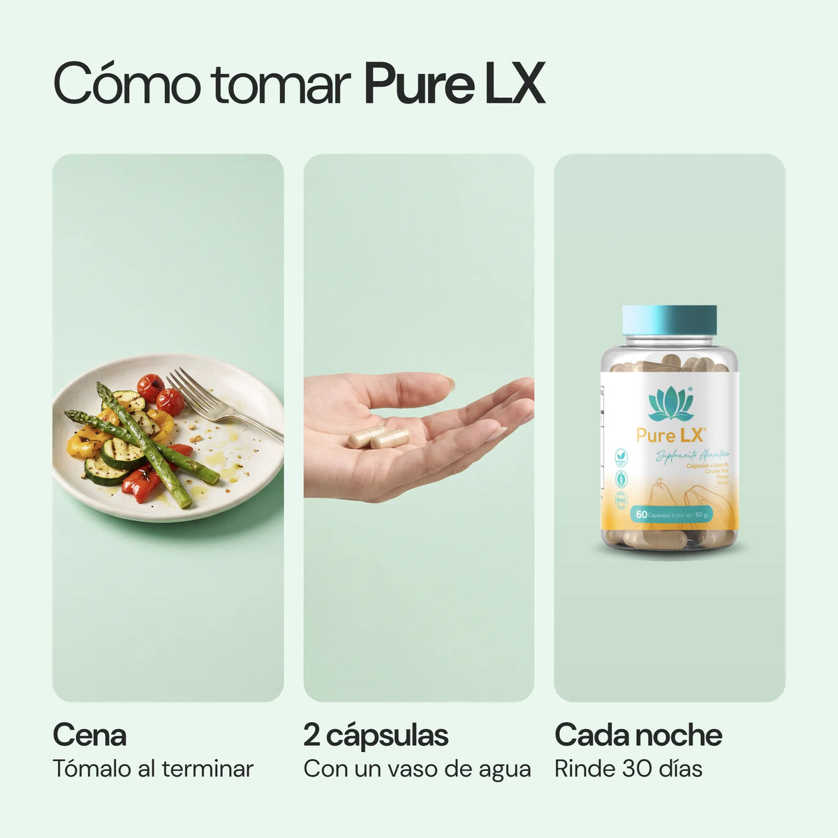 Cómo usar Pure LX
