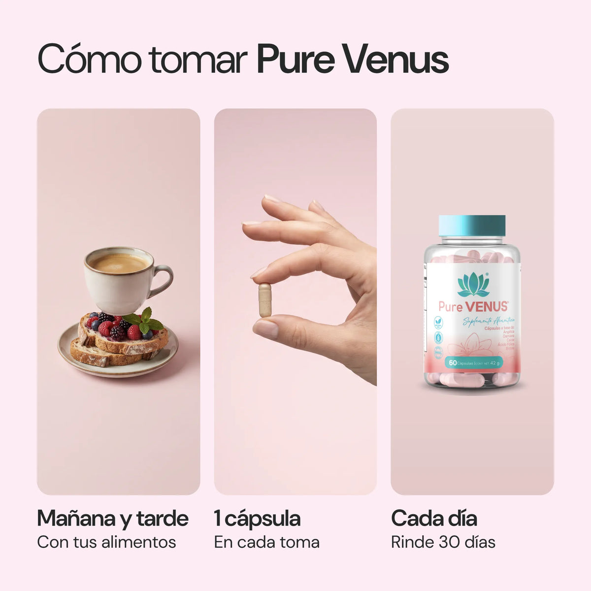 Cómo usar Pure Venus