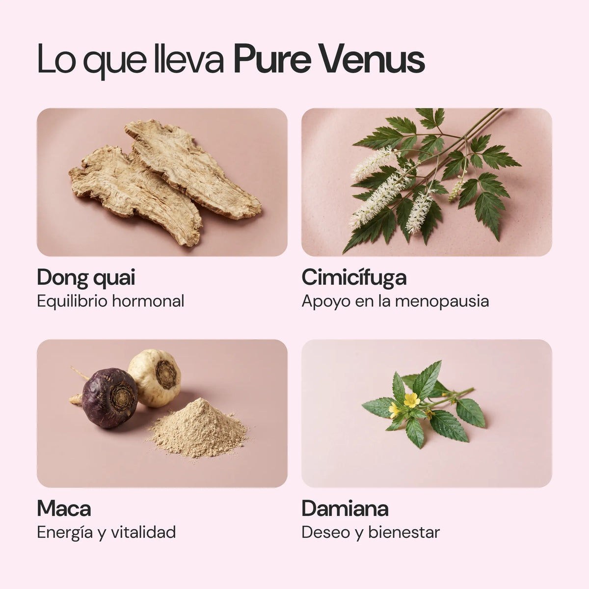 Ingredientes de Pure Venus