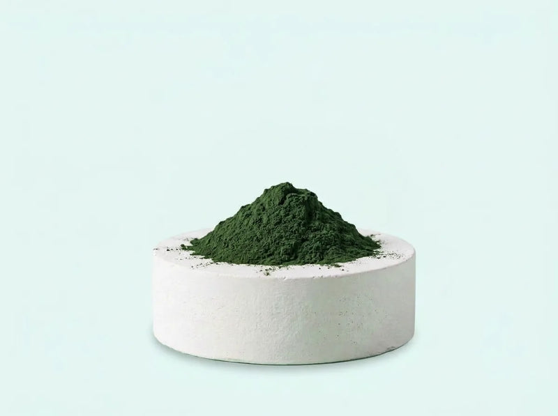 Alga chlorella