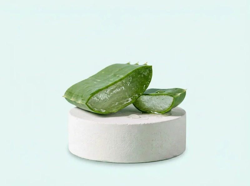 Aloe vera