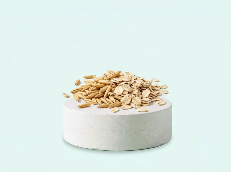 Avena