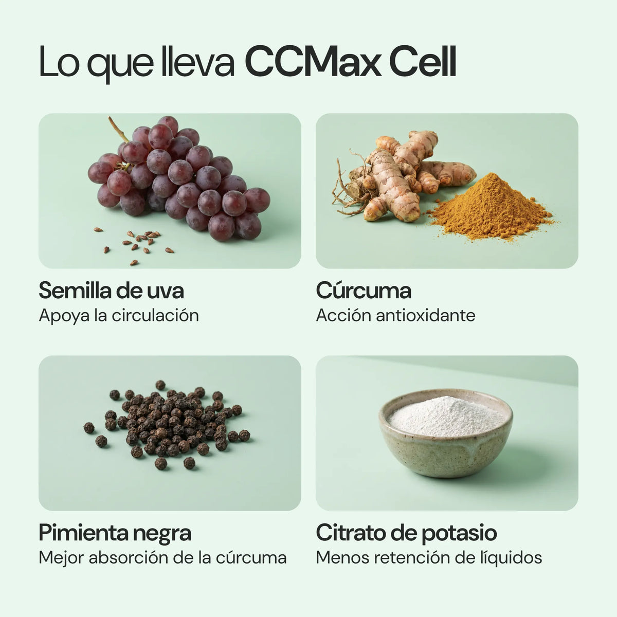 Ingredientes de CCMax Cell