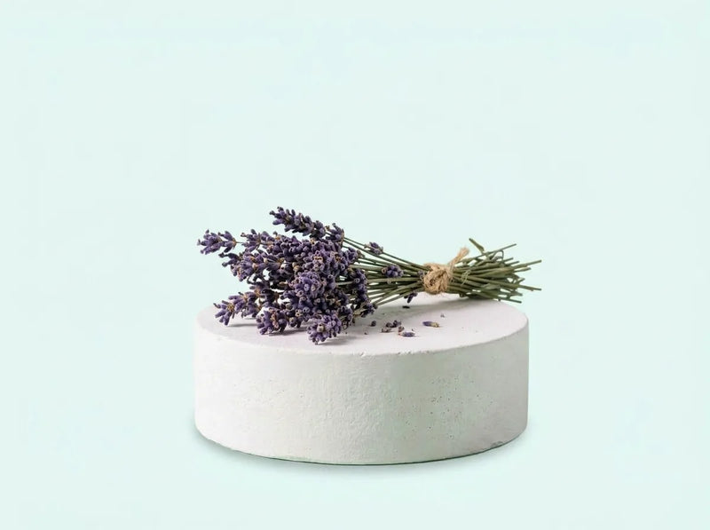 Lavanda