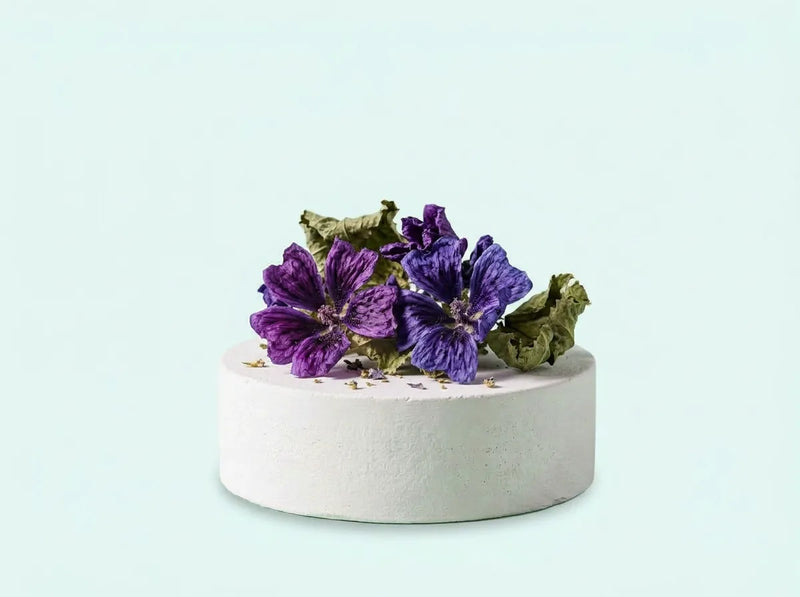 Malva
