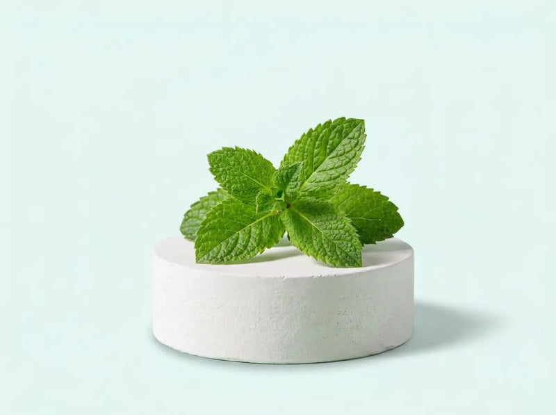 Menta