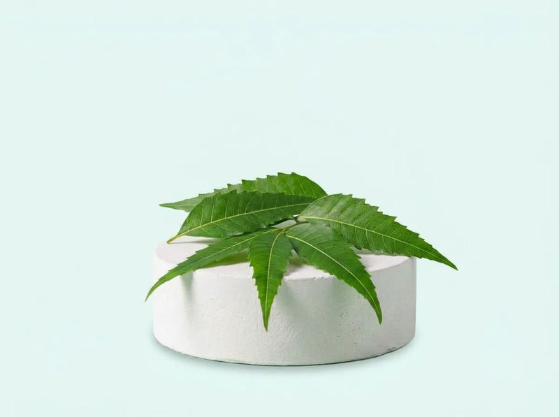 Neem