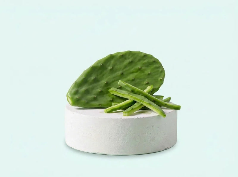 Nopal