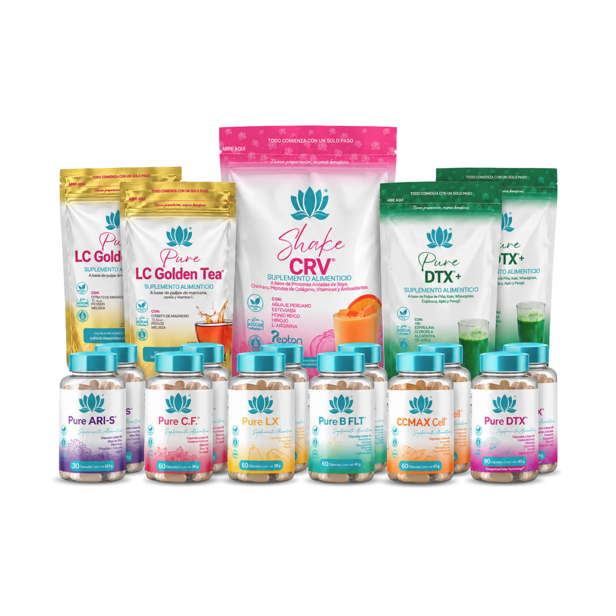 Kit de Inicio Opción 1