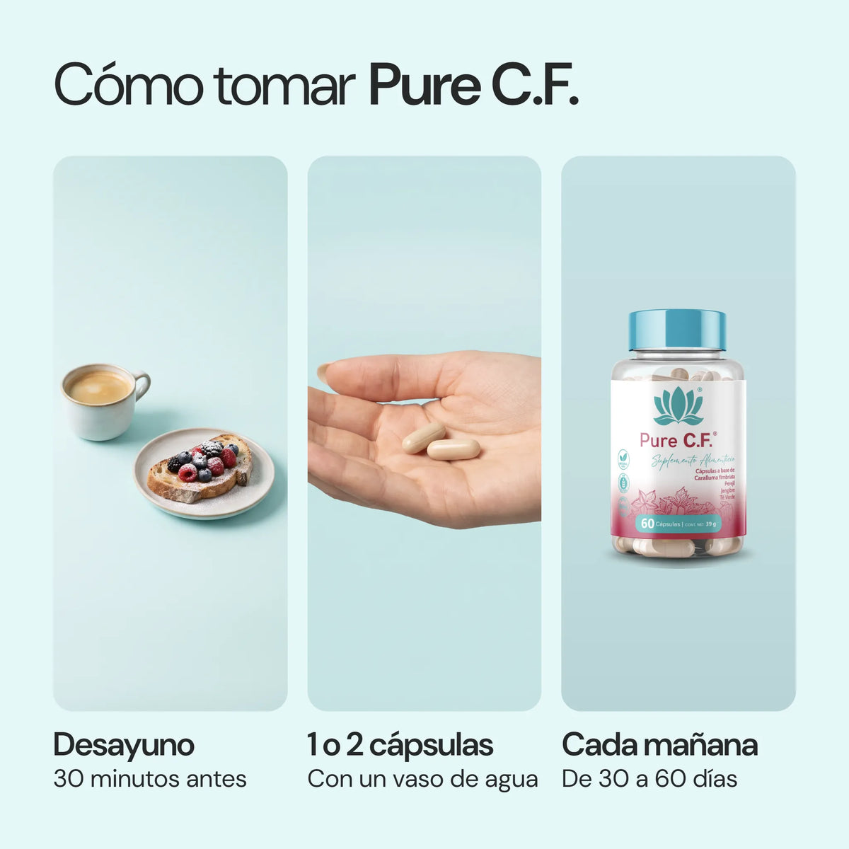 Cómo usar Pure C.F.