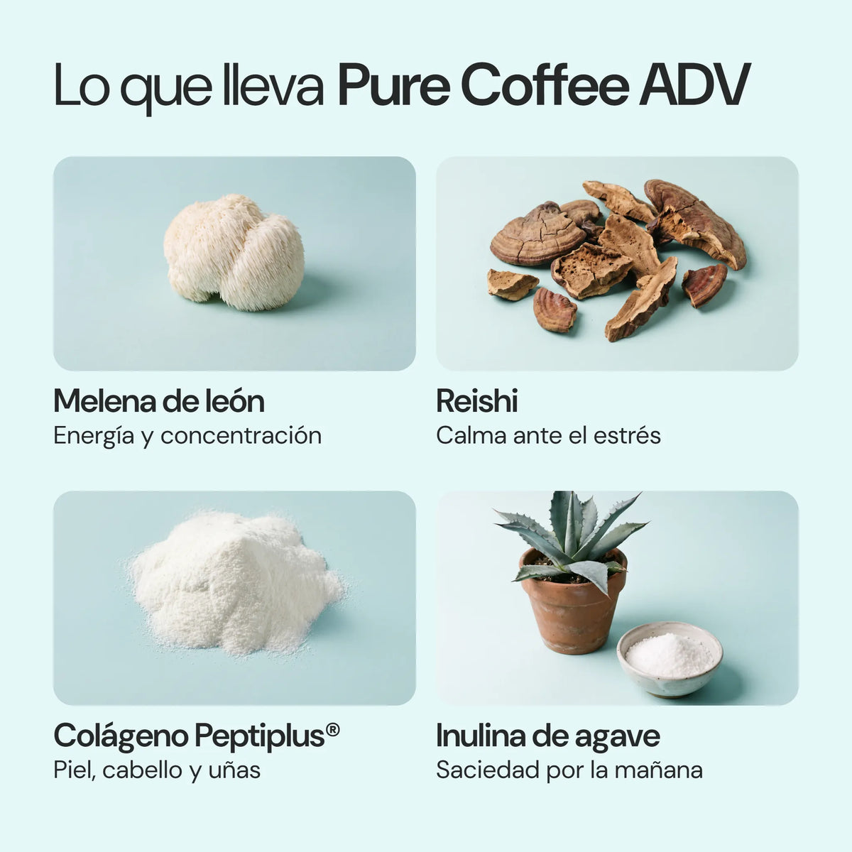 Ingredientes de Pure Coffee ADV