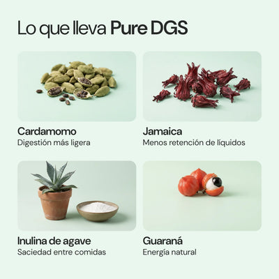 Ingredientes de Pure DGS