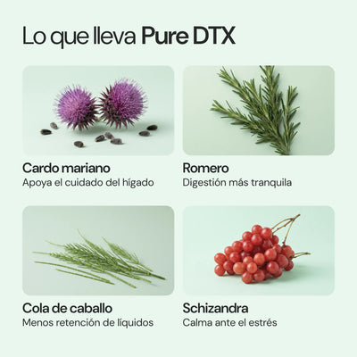 Ingredientes de Pure DTX