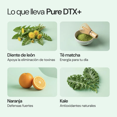 Ingredientes de Pure DTX+
