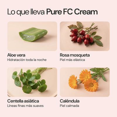 Ingredientes de Pure FC Cream