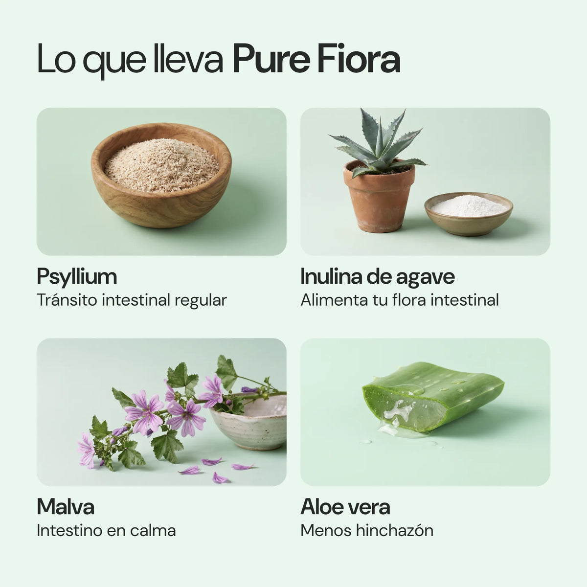 Ingredientes de Pure Fiora