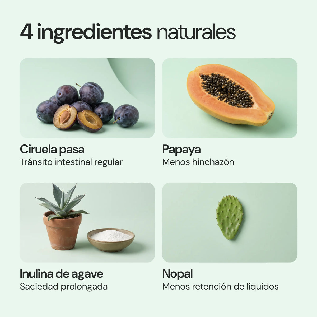 Ingredientes de Pure LX