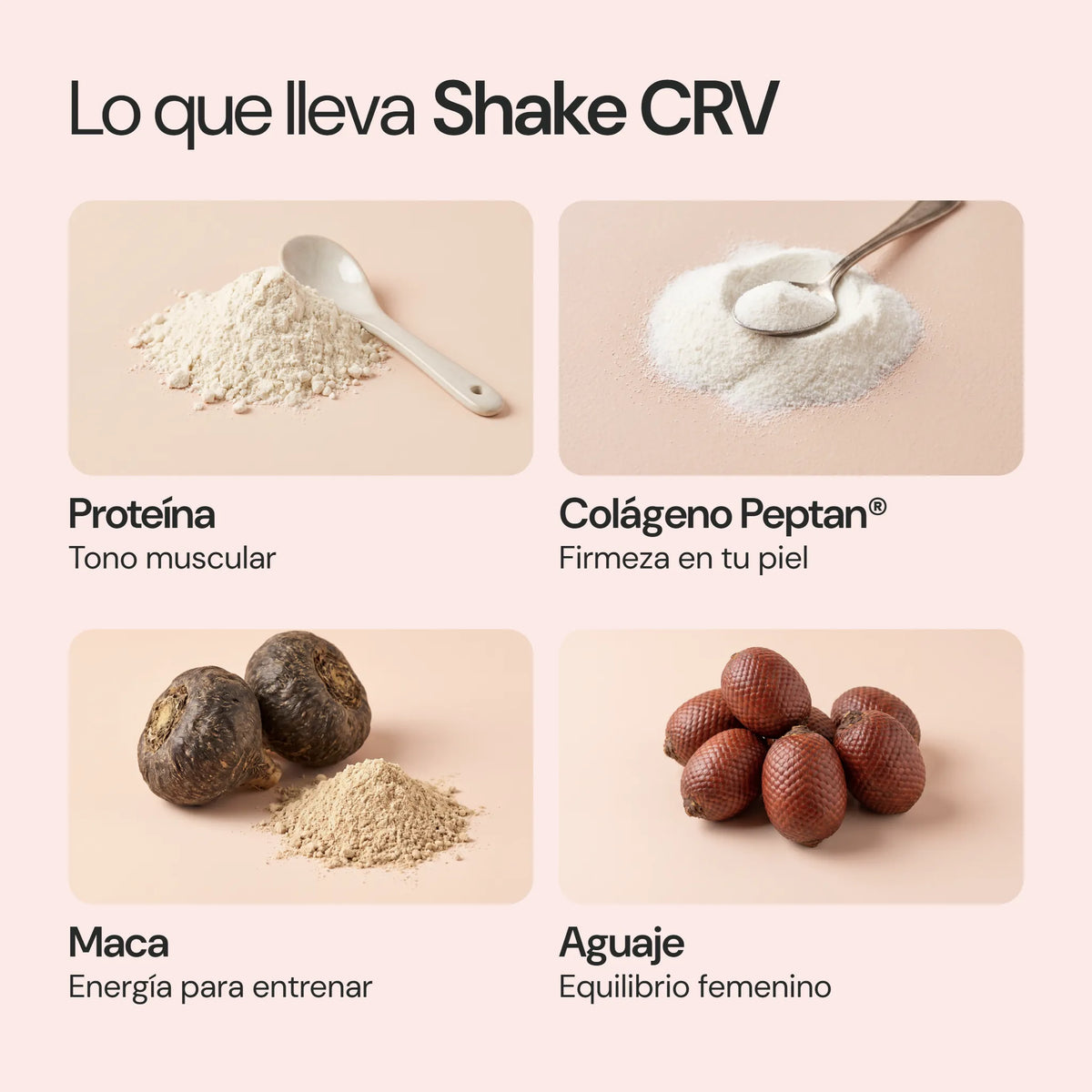 Ingredientes de Shake CRV